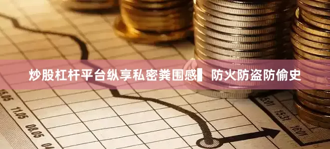 炒股杠杆平台纵享私密粪围感▍防火防盗防偷史
