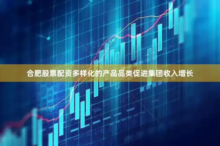 合肥股票配资多样化的产品品类促进集团收入增长