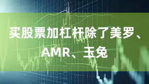 买股票加杠杆除了美罗、AMR、玉兔